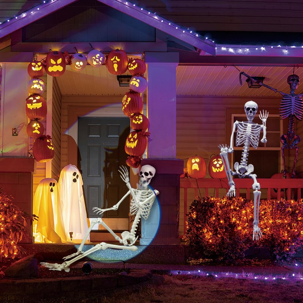 Life Size Poseable Skeleton for Halloween