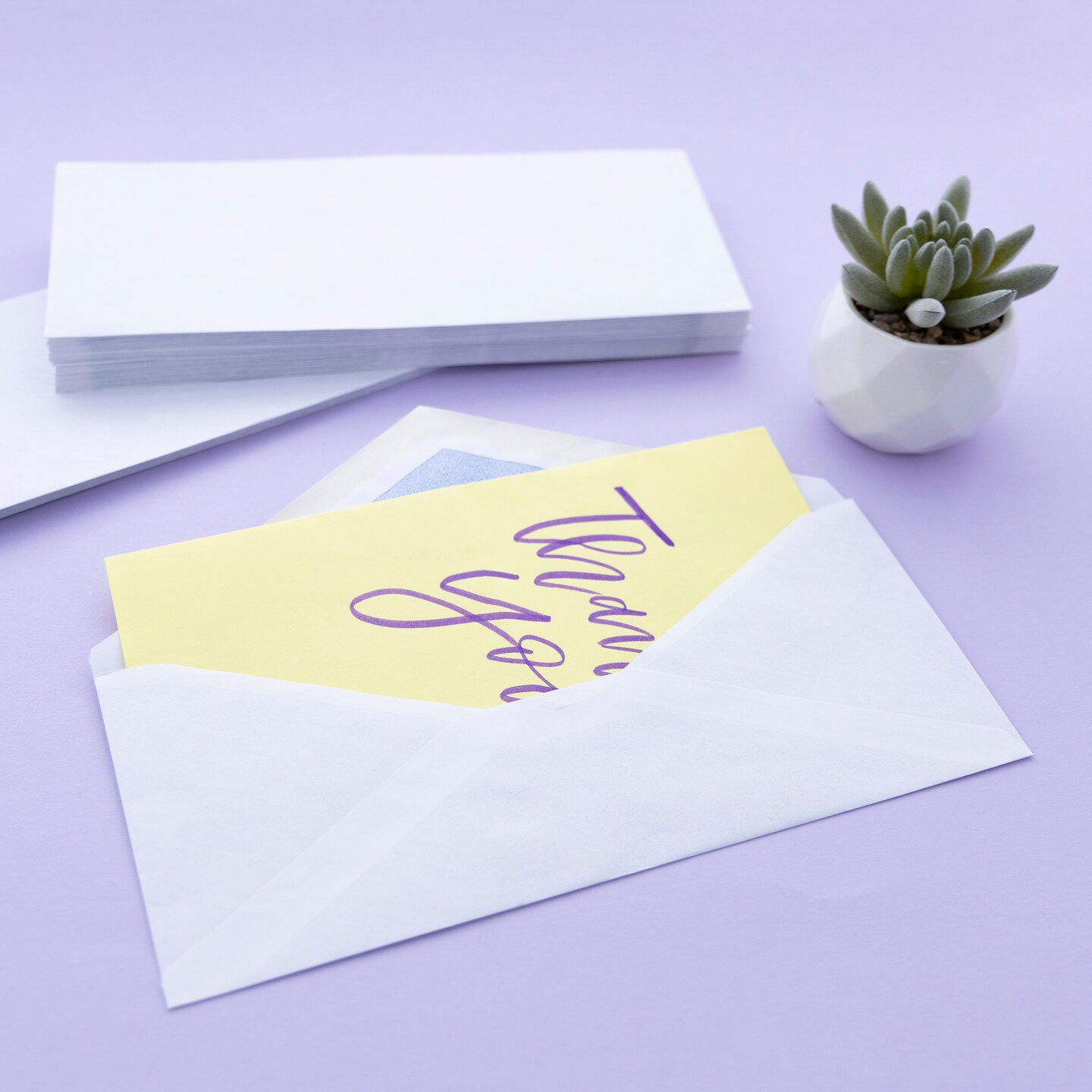 BAZIC #10 Gummed Closure Security Envelope (40/Pack)