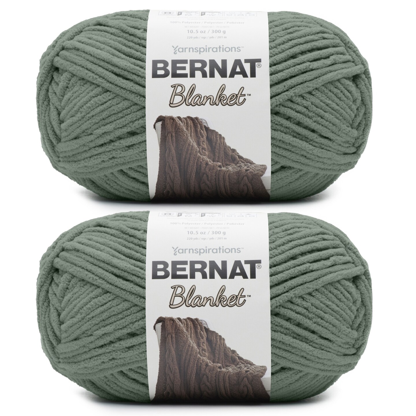 Bernat Blanket Big Ball Yarn 24 Pack-Smoky Green