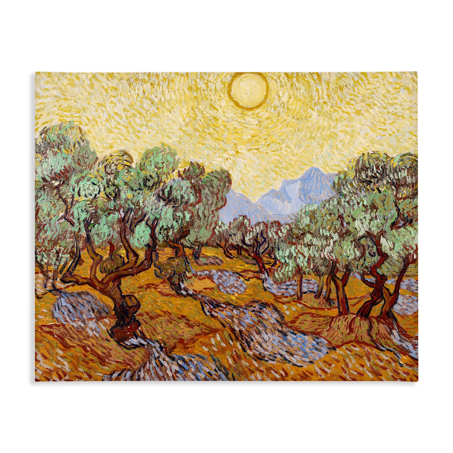 Stupell Industries Olive Trees Van Gogh Canvas, design by Vincent Van Gogh