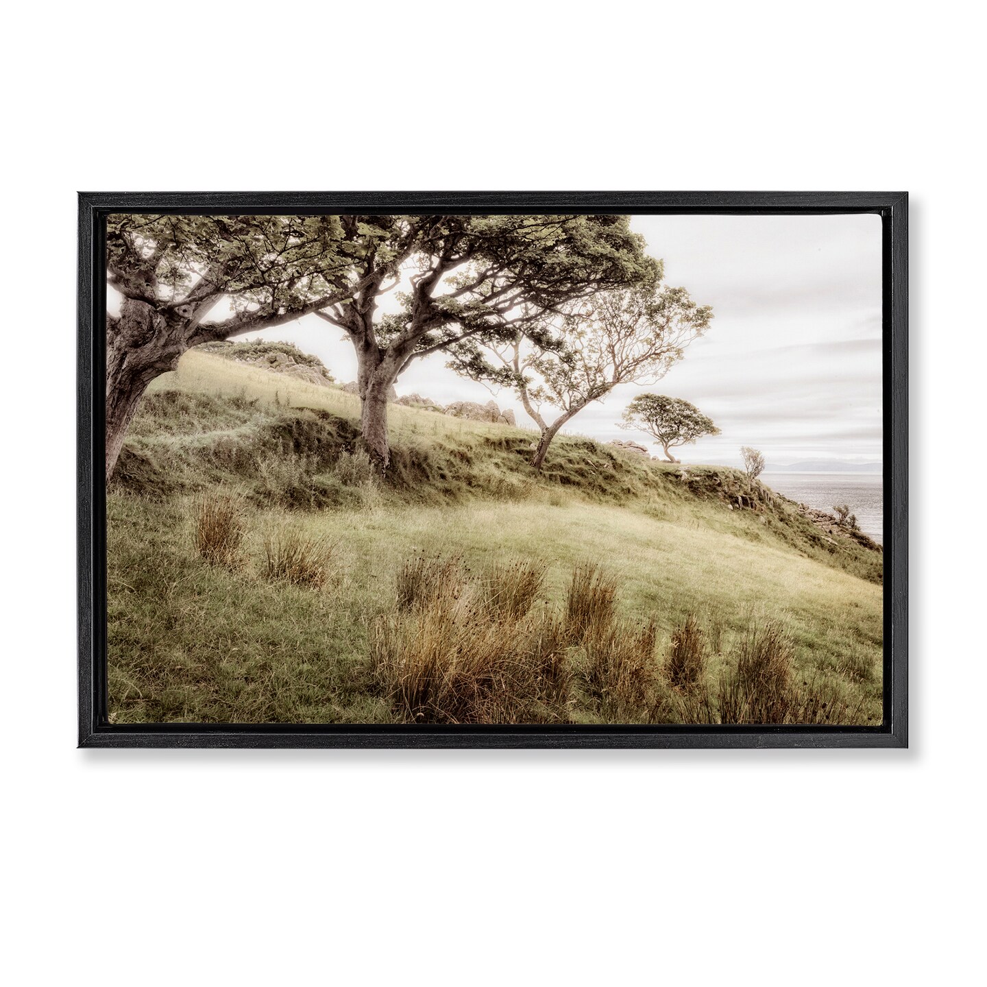 Stupell Industries Irish Hillside Landscape Floating Frame, design by Andy Amos