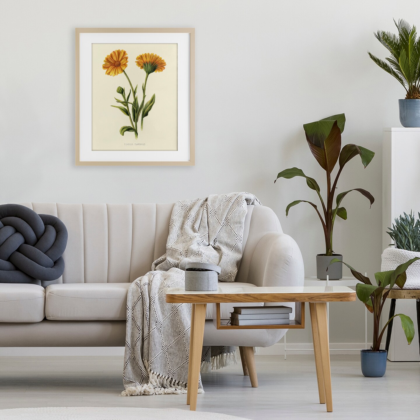 Stupell Industries Twin Marigold Blooms Framed Print Under Glass, design by Connie Resch