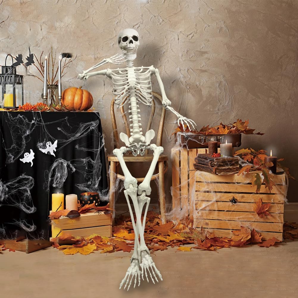 Life Size Poseable Skeleton for Halloween