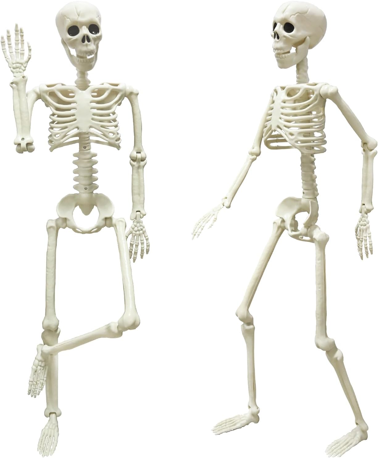 2PCS Halloween Posable Skeletons