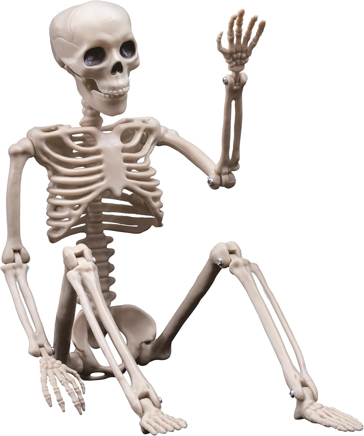 Halloween Decoration Outdoor 2 Pack Skeleton, 16&#x22; Plastic Posable Skeleton