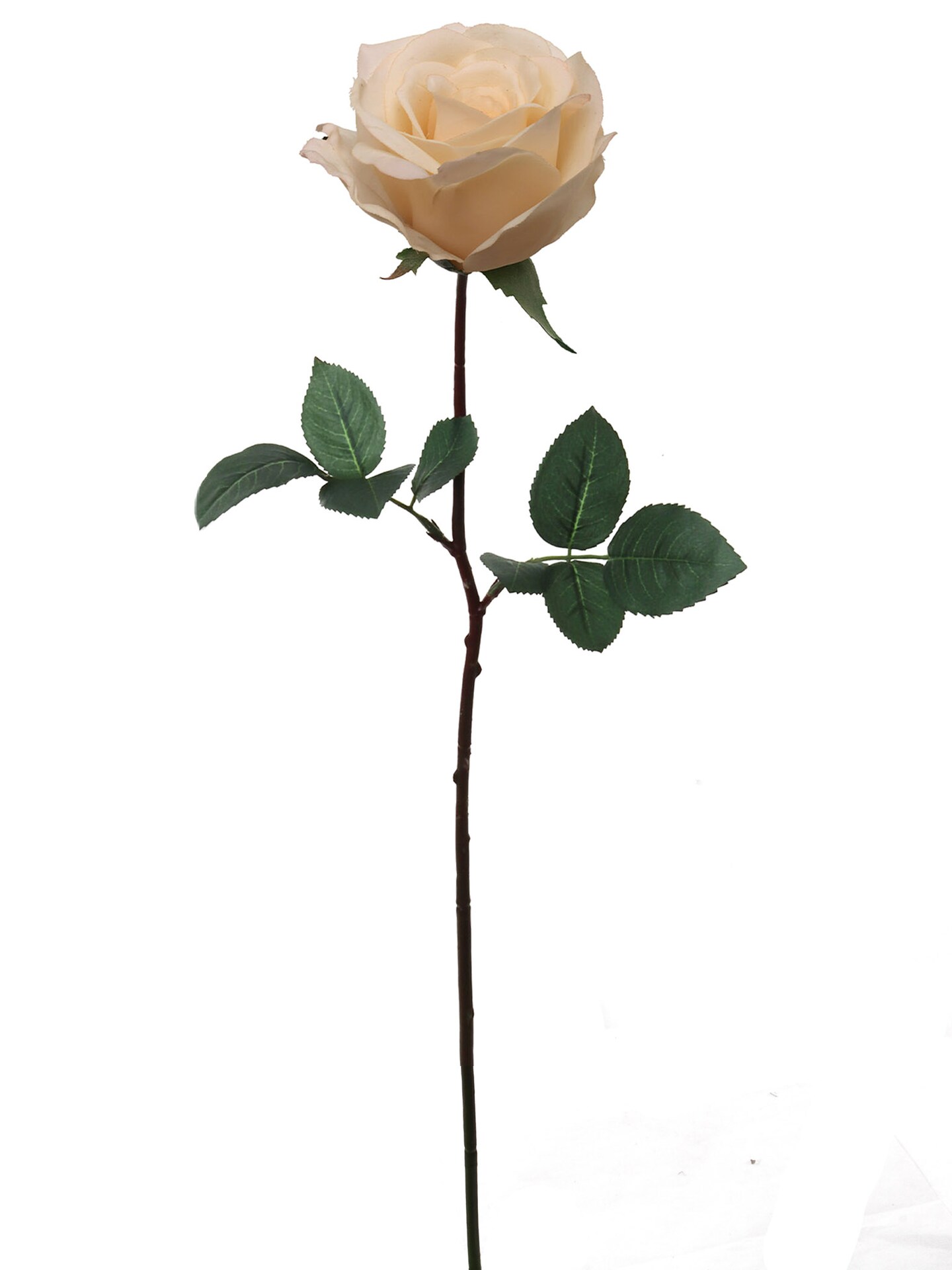 4PCS 27” Real Touch Peach Rose – Lifelike 4” Bloom Artificial Flowers for Weddings & Decor