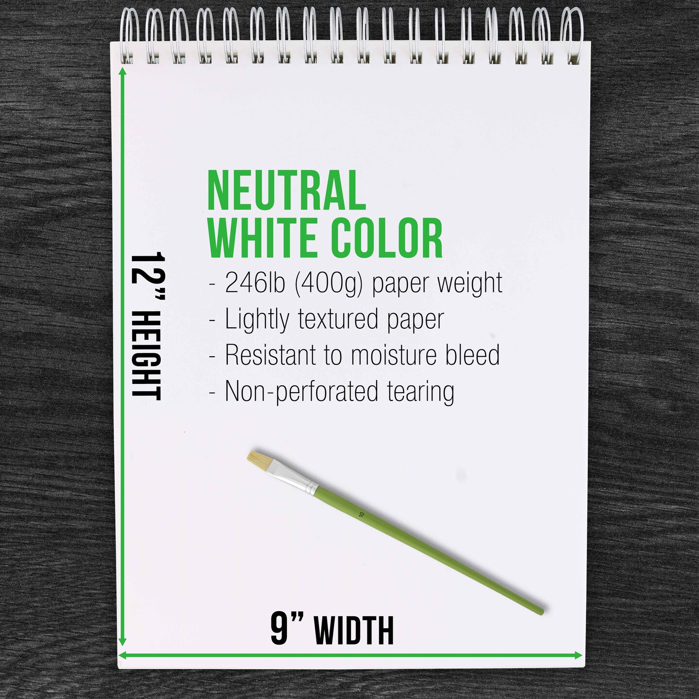 9x12" Premium Heavy-Weight Acrylic Painting Paper Pad, 246lb (400gsm), 2 Pack, 12 Sheets, Spiral Bound, for Acrylic Paint