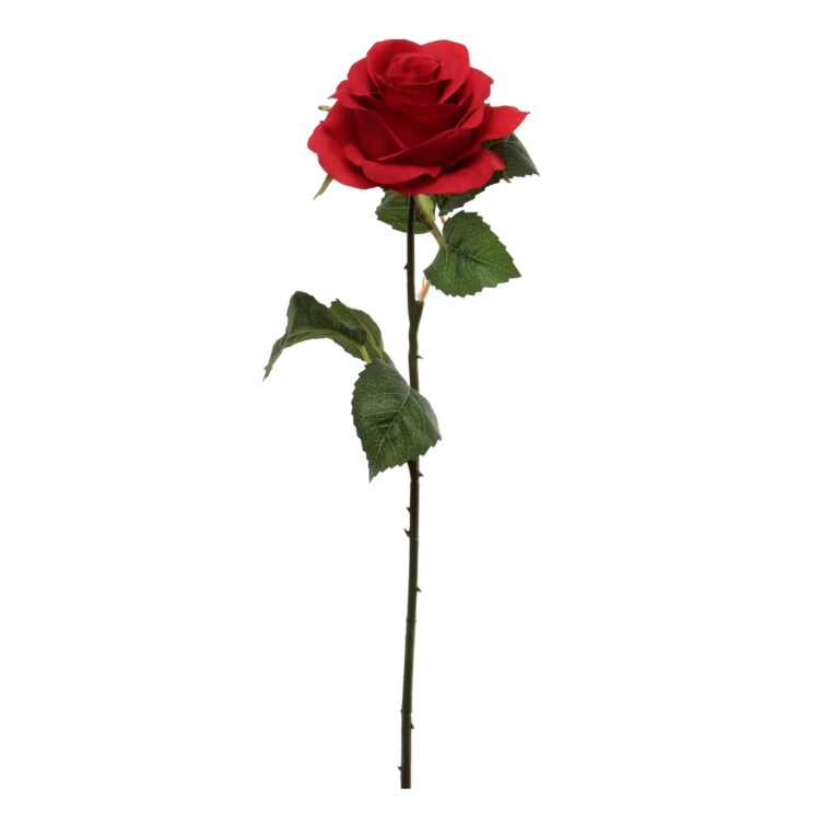 20&#x22; Open Rose Stem - 12 PACK