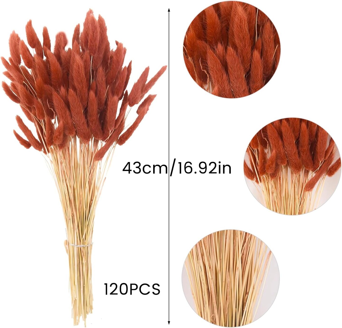 120pcs 17&#x22; Burnt Orange Bunny Tails Dried Flowers