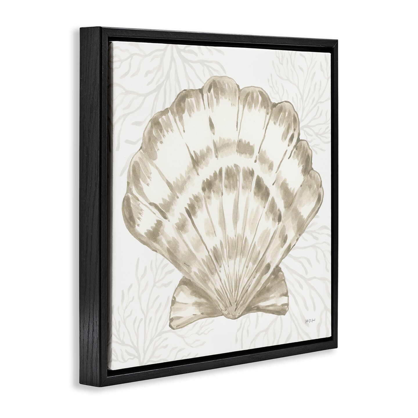 Stupell Industries Clam Shell & Neutral Coral Floating Frame By