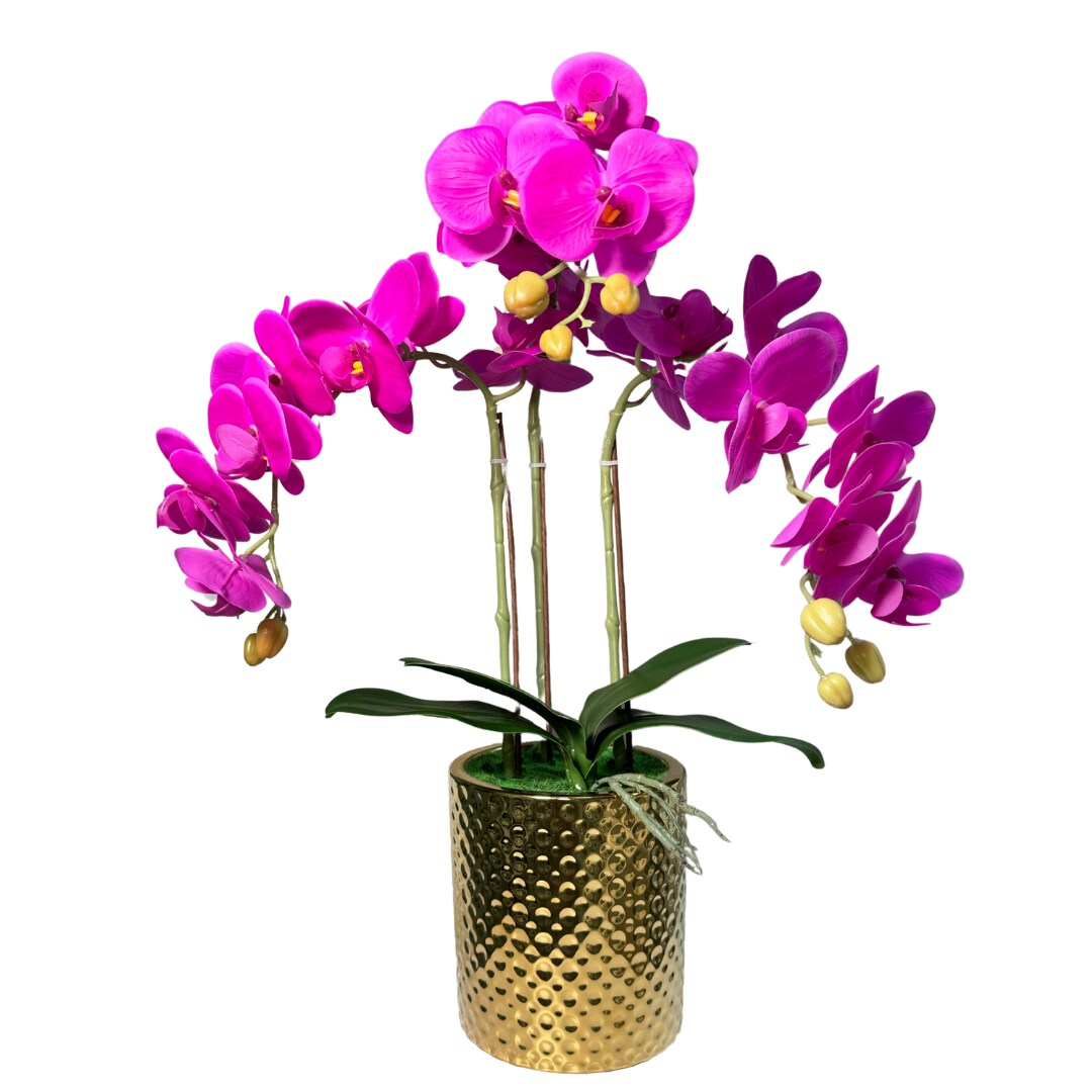 Pink Magenta Phalaenopsis Orchid Floral Arrangement in Gold Vase