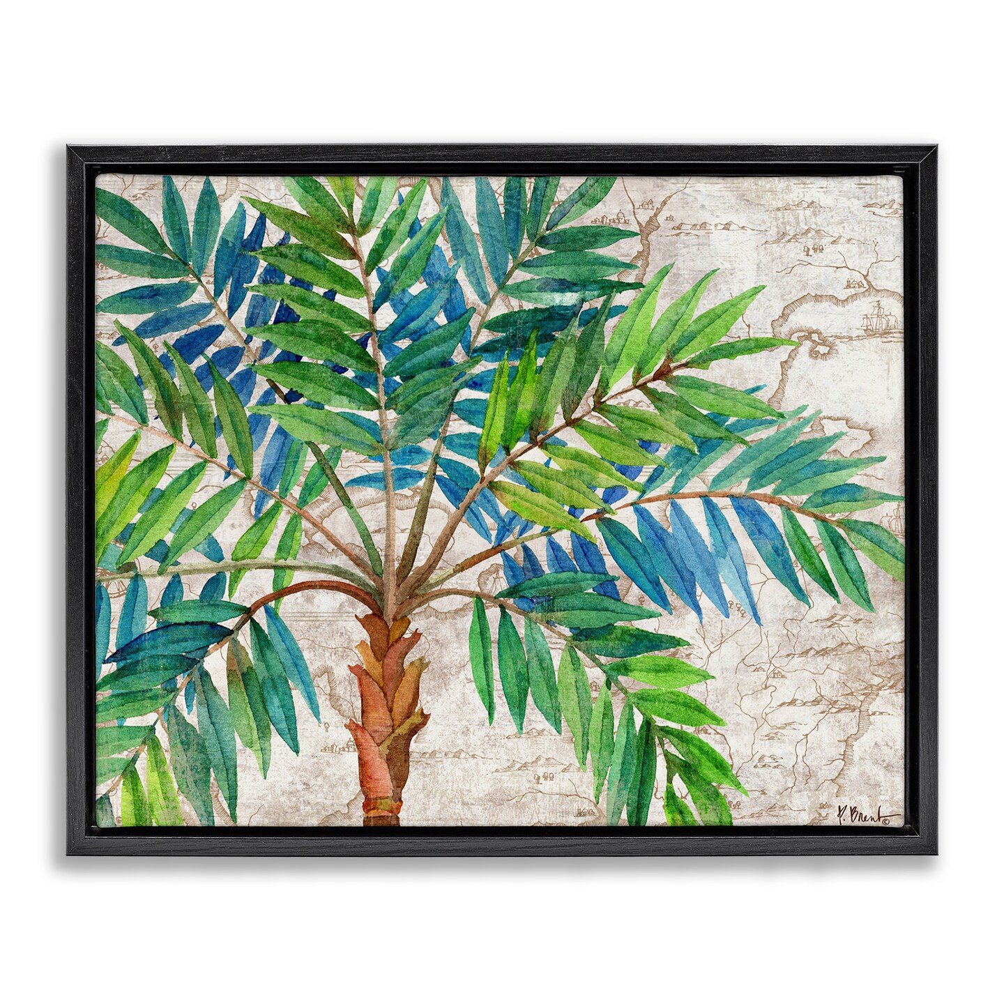 Stupell Industries Aqueous Palm Tree Floating Frame Design by Paul Brent