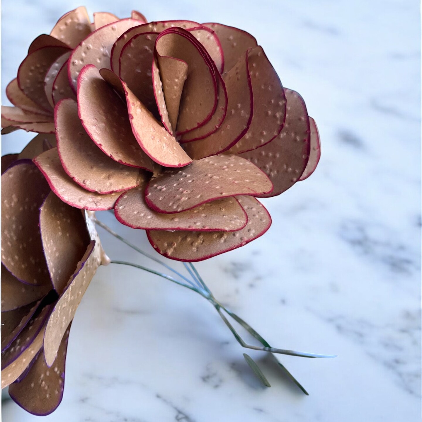 3dRose cst_40591_2 Classic Muscle Car-Soft Coasters Set of 8 3dRose cst_40591_2 Classic Muscle Car-Soft Coasters Set of 8