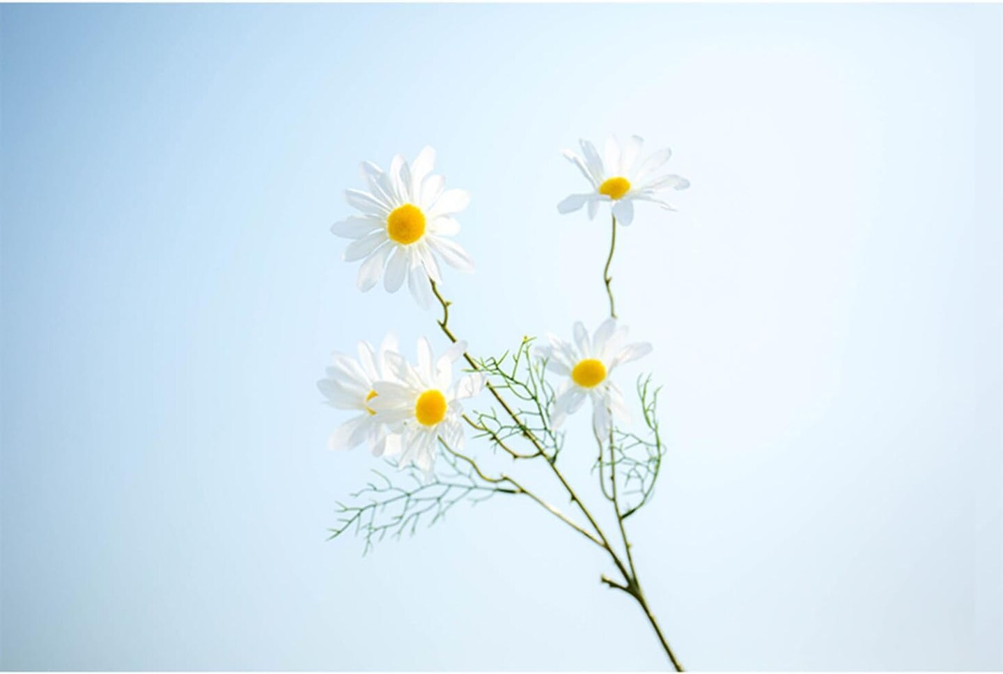 10pcs Artificial Daisy Flowers Flower Arrangements for Home Hotel Office Wedding Party Garden Craft Art Decor Each Approx 21&#x22; High No Vase White