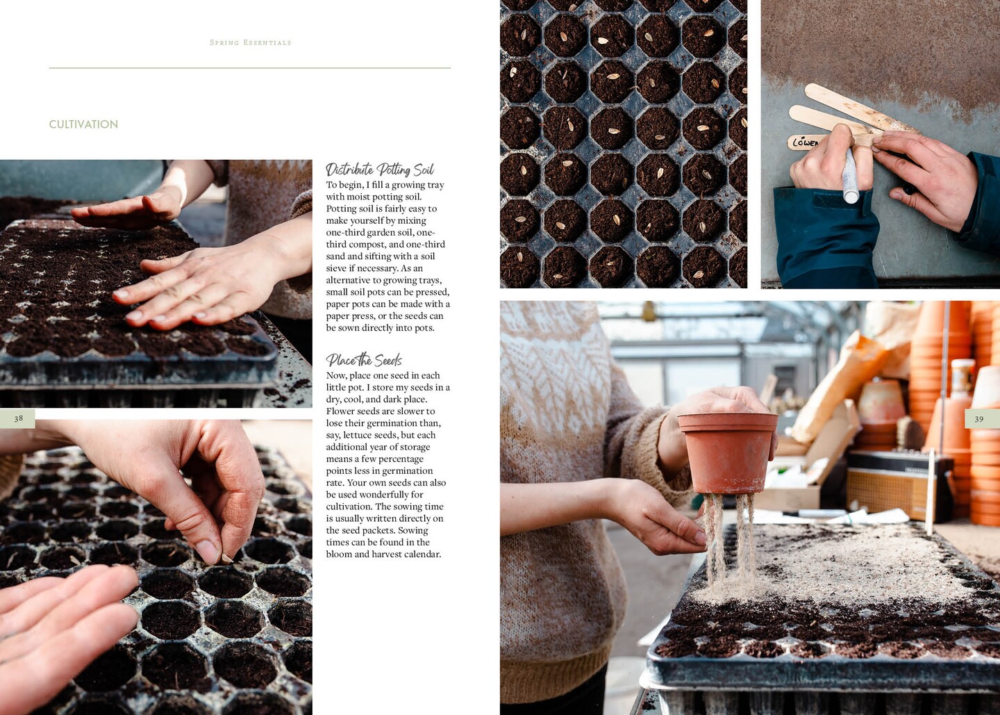 Sow, Grow, and Harvest: A Year-Round Guide to Gardening and Arranging Cut Flowers