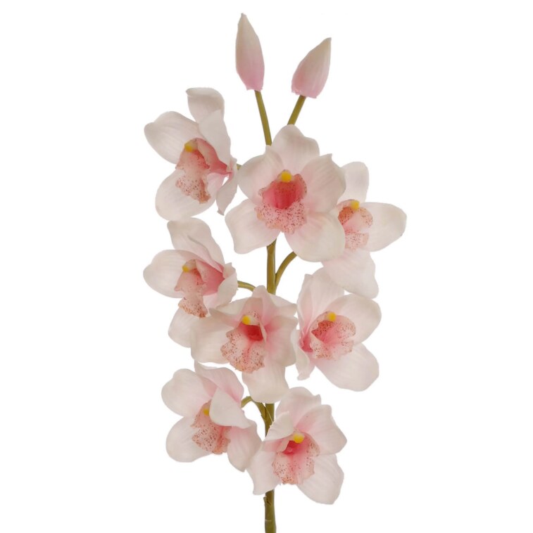 30&#x22; Cymbidium Orchid Stem - 3 PACK
