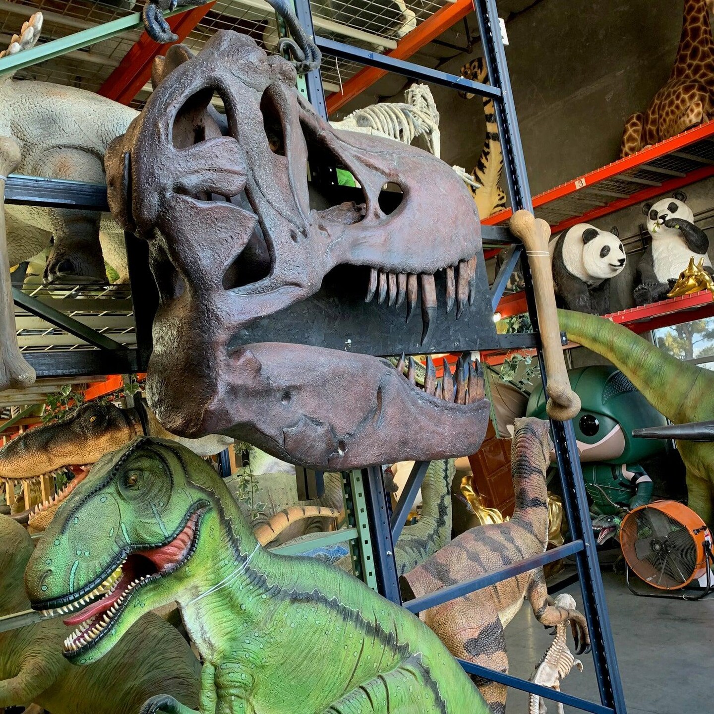 T-Rex Skull Wall Decor Life Size Statue