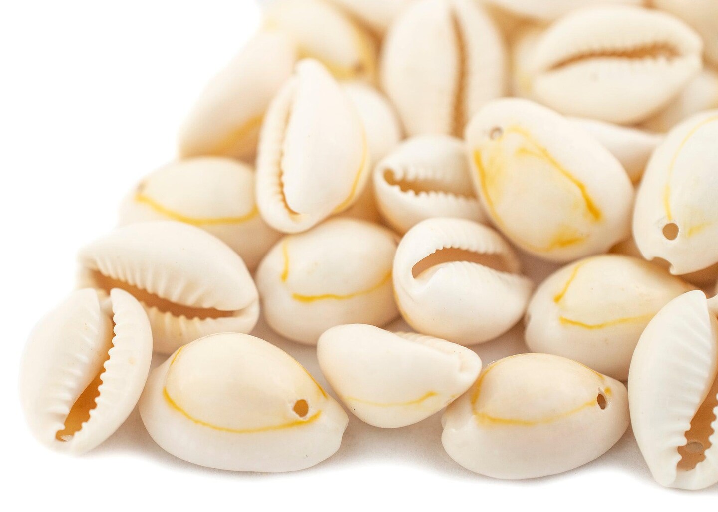 The Bead Chest Beige Drilled Cowrie Shells Large 13mm White Unusual