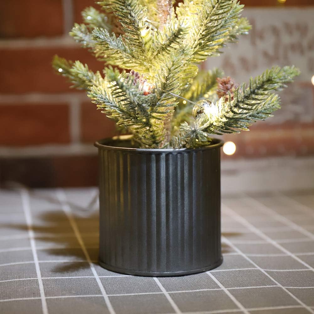 Lighted Mini Tree 12 Inch with 15 Warm Whited LED Lights USB Powered for Winter Decor Hone Party and Wedding Holiday