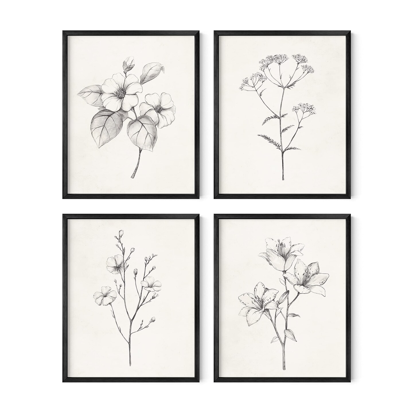 Haus and Hues Botanical Prints Set of 4