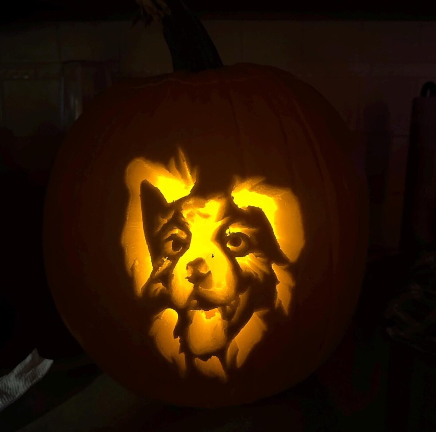 Halloween Stencils 8(Pumpkin Carving)