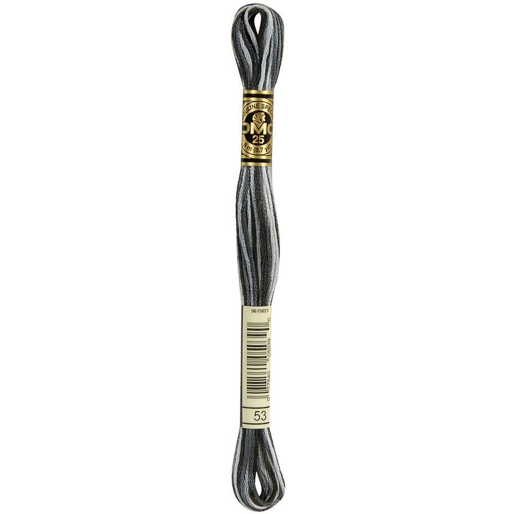 DMC Embroidery Floss, 6-Strand - Variegated Steel Gray #53