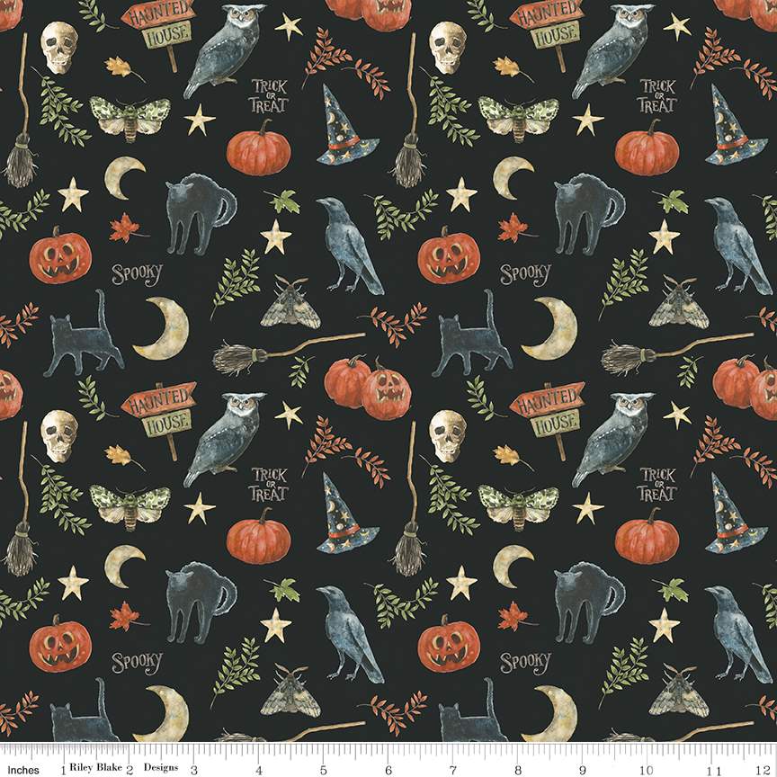 Fabric Riley Blake Black Spooky Trick or Treat by the Quarter Yard CD15962-BLACK