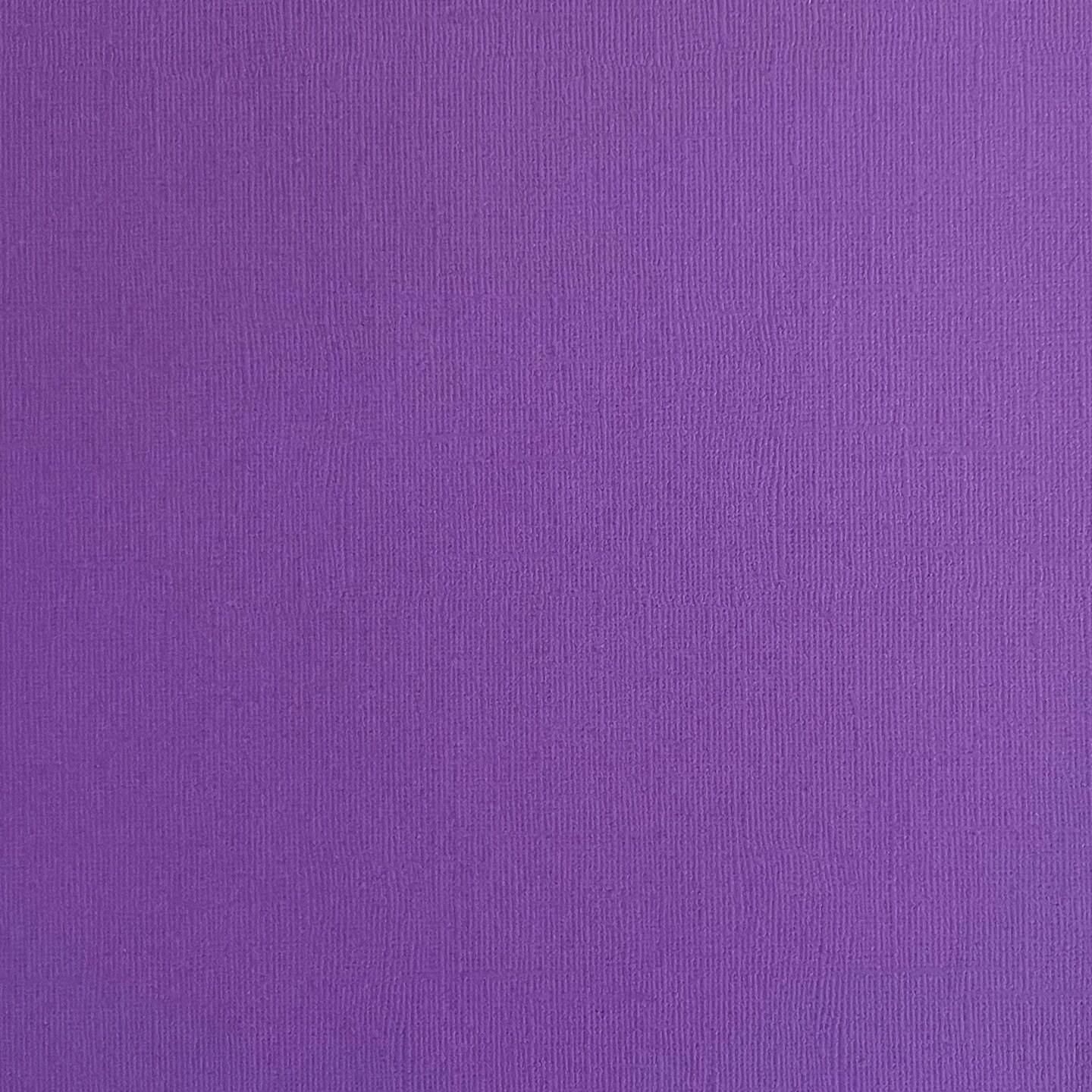 DUTCH IRIS - Textured 12x12 Cardstock - Encore Paper