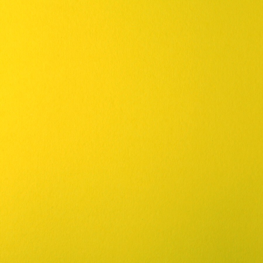 Colorplan by Legion Papers 11&#x22; x 17&#x22; - 130 Lb. / 18.5 pts Matte Premium Cardstock Paper Cover Sheet - 50 Sheets