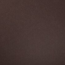 Colorplan by Legion Papers 11" x 17" - 130 Lb. / 18.5 pts Matte Premium Cardstock Paper Cover Sheet - 50 Sheets