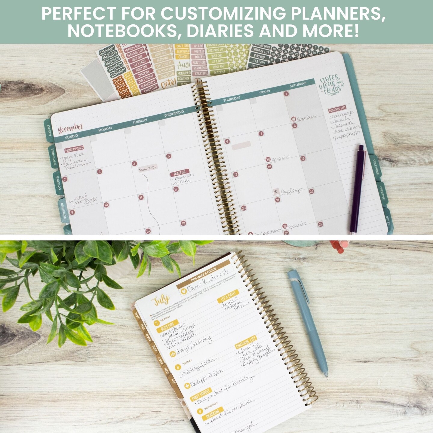 bloom daily planners Planner Stickers, Calendar Essentials Pack, Retro Rainbow