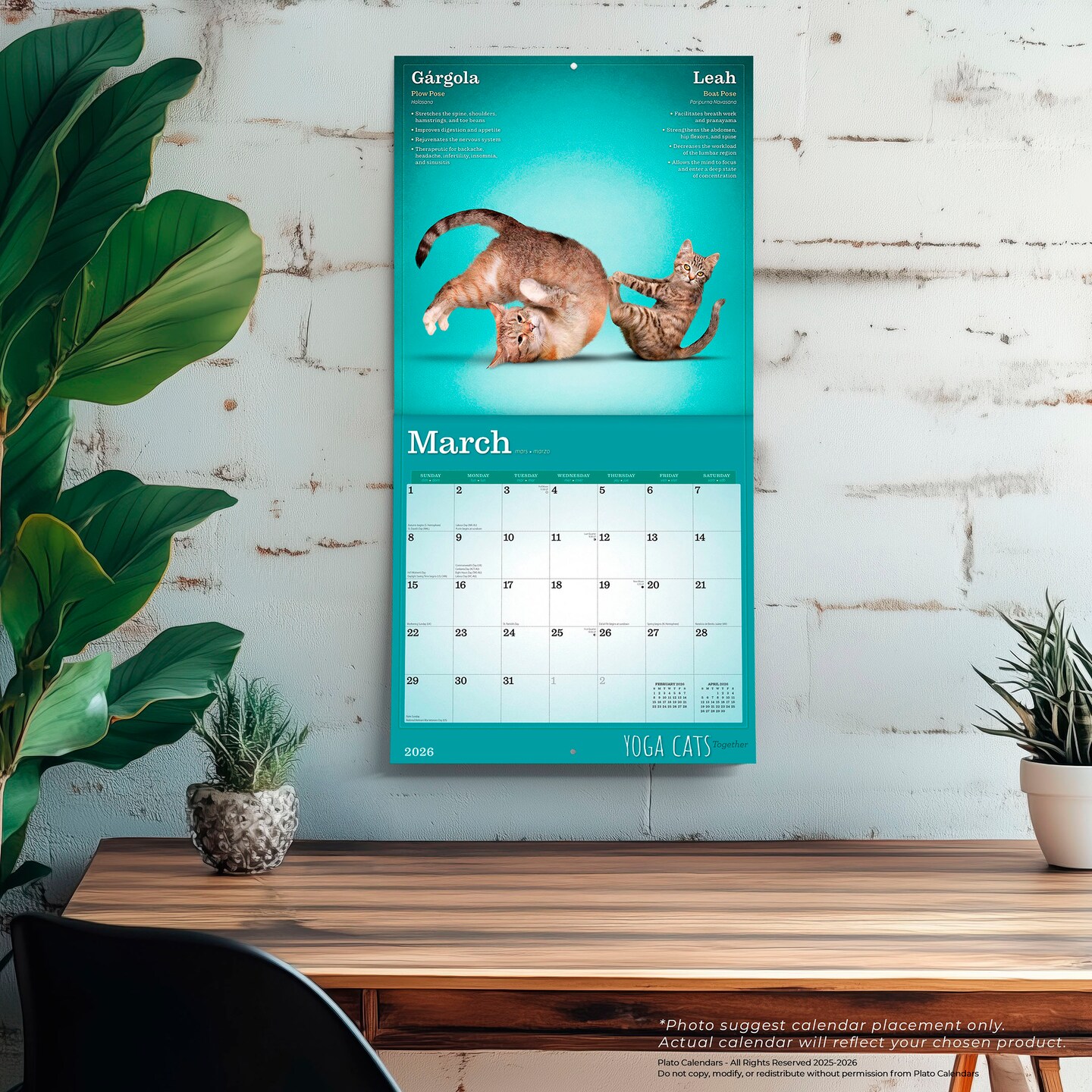 Yoga Cats Together OFFICIAL | 2026 12 x 24 Inch (Hanging) Monthly Square Wall Calendar