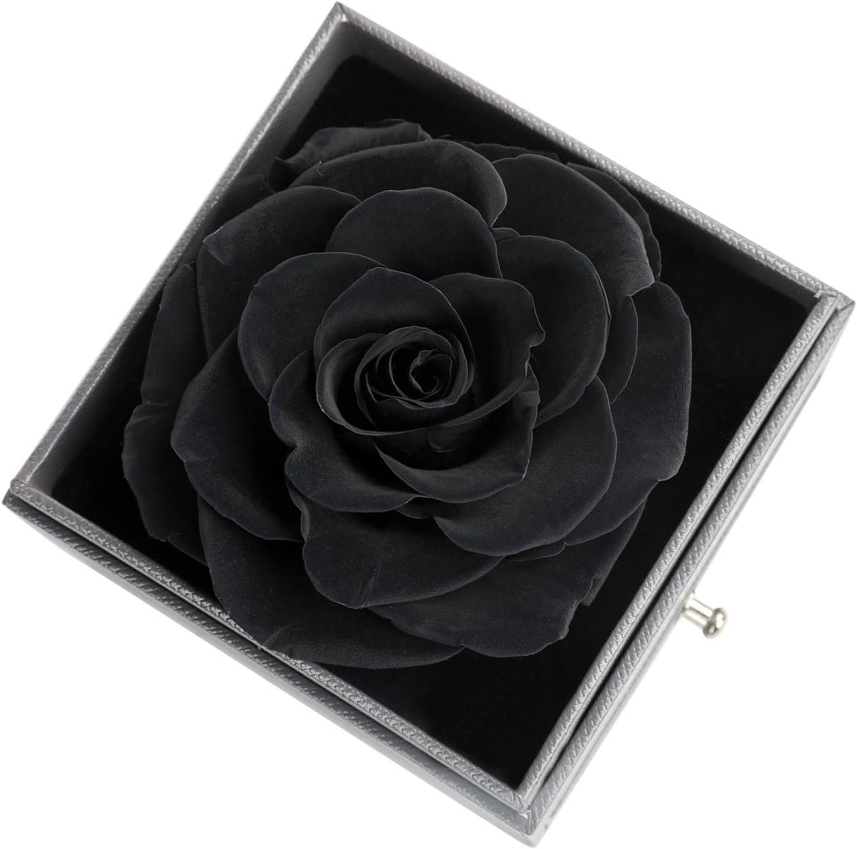 Preserved Real Rose with Heart Necklace I Love You in 100 Languages(Black)