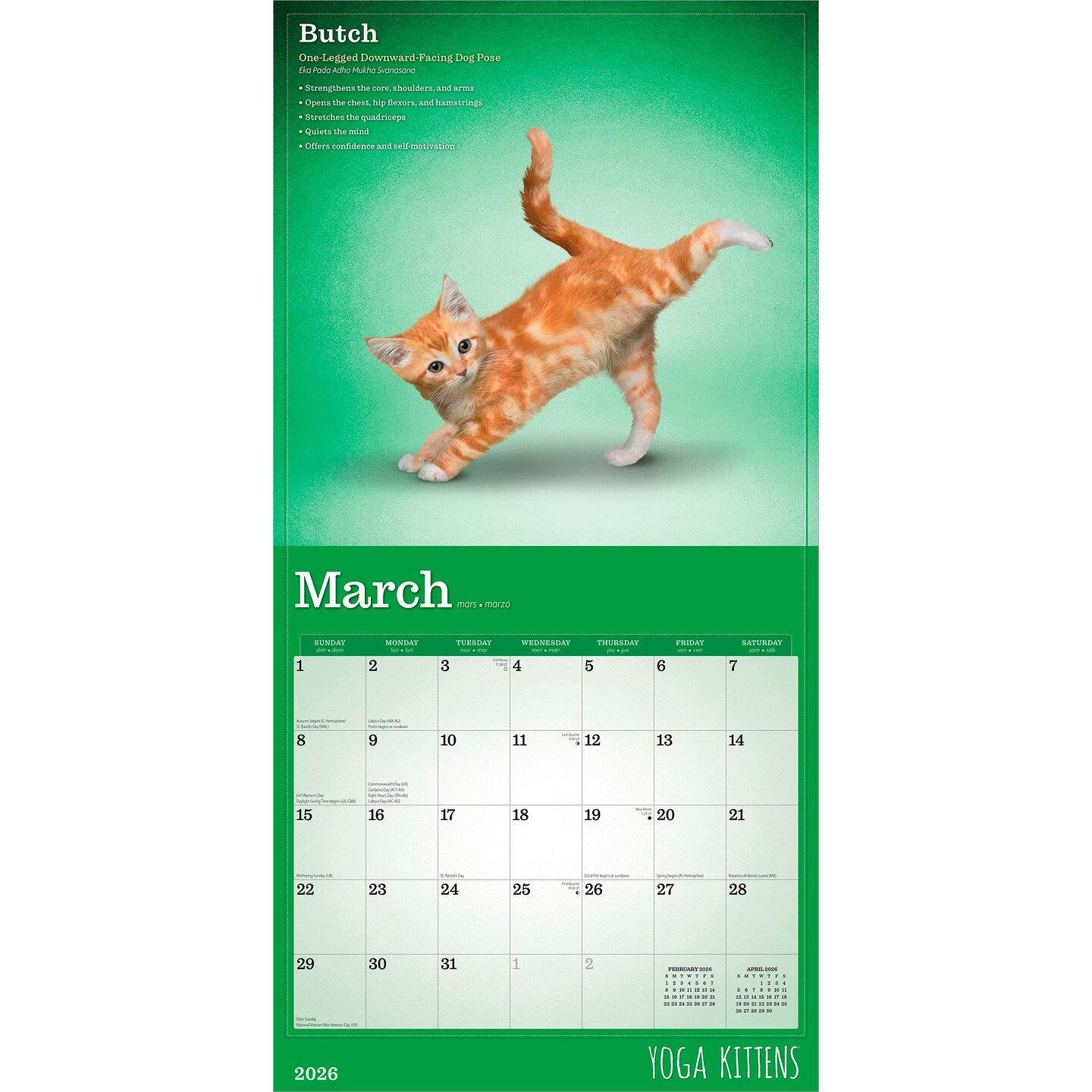 Yoga Kittens OFFICIAL | 2026 12 x 24 Inch (Hanging) Monthly Square Wall Calendar