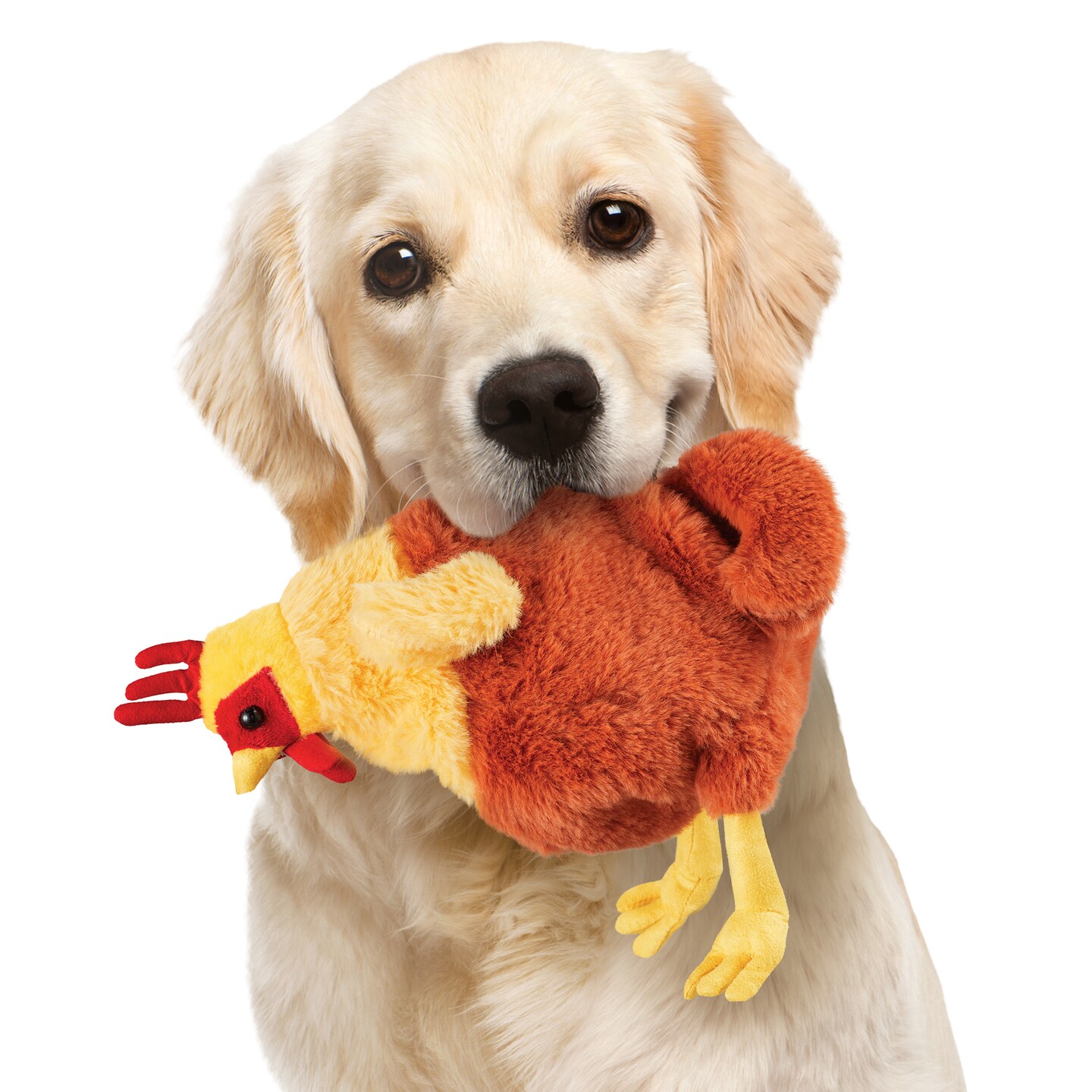 Collections Etc Stuffing Free Chicken Pet Toys - Set of 3