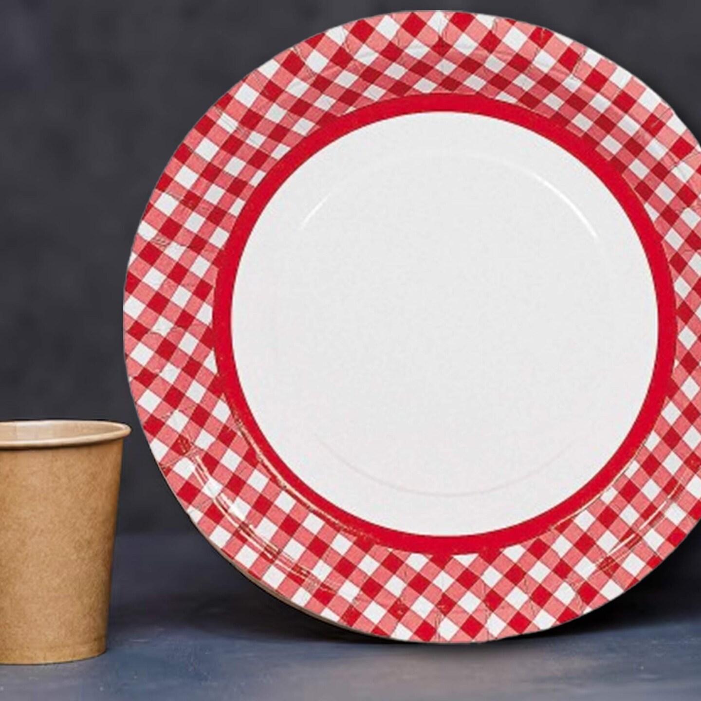 Red Gingham Paper Dinner Plates 24 Count Classic Picnic Party Plates 9 Inch