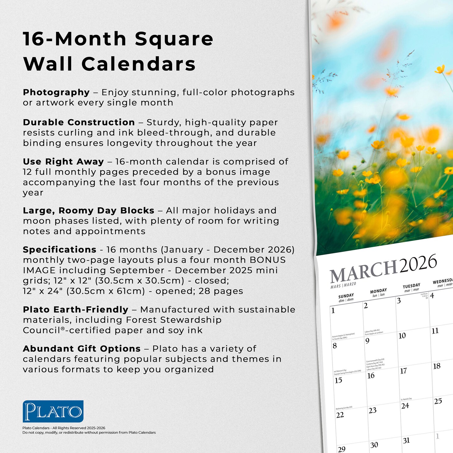 Psalms | 2026 12 x 24 Inch (Hanging) Monthly Square Wall Calendar | Foil Stamped Cover