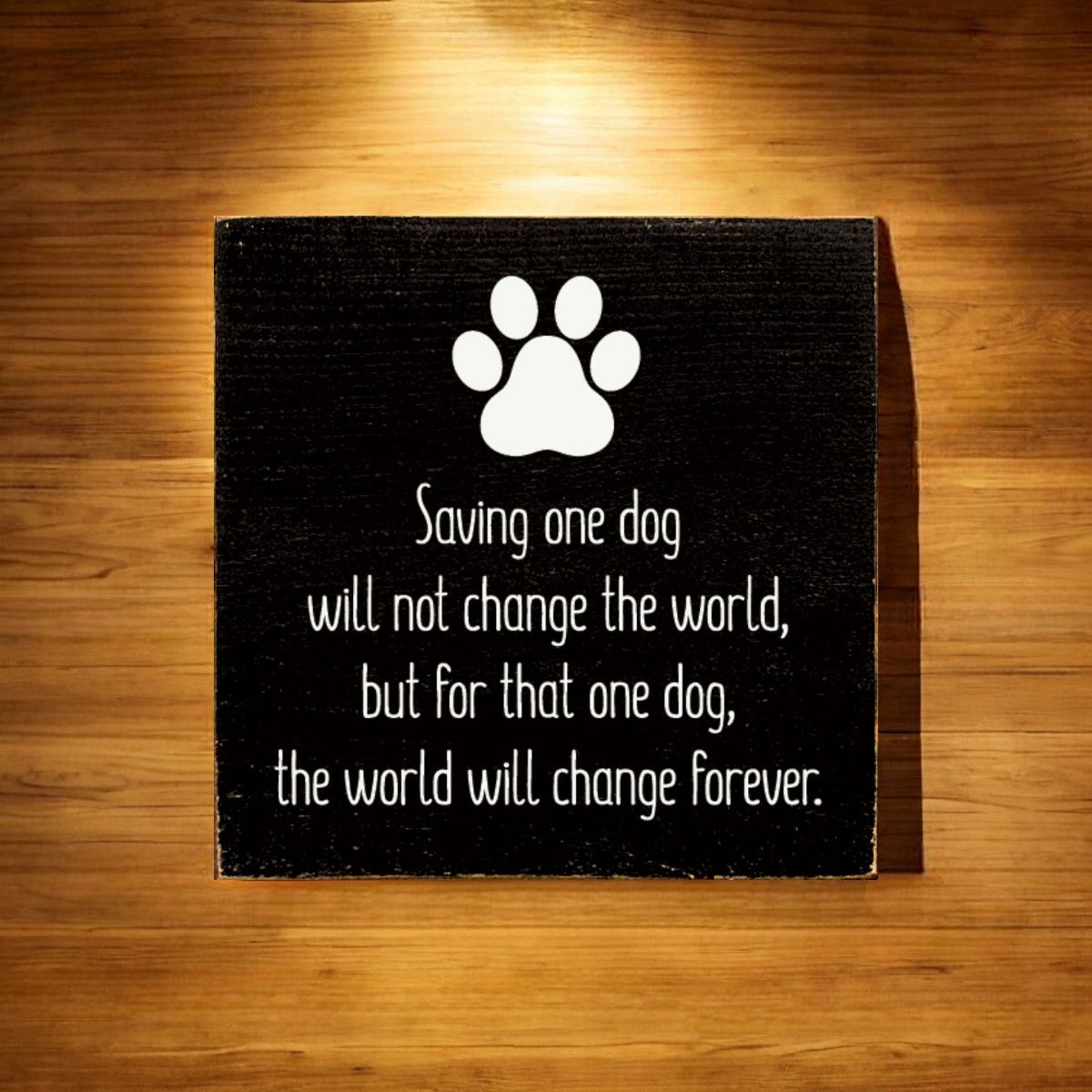 Inspirational Dog Quote Sign Rustic Knotty Pine Square Wall Decor 7x7 Inch