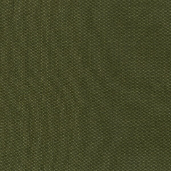 Artisan Cotton Yarn-Dye in Dark Olive Light Olive (40171-71) | Artisan Cross Weave Cotton | Another Point of View | Windham