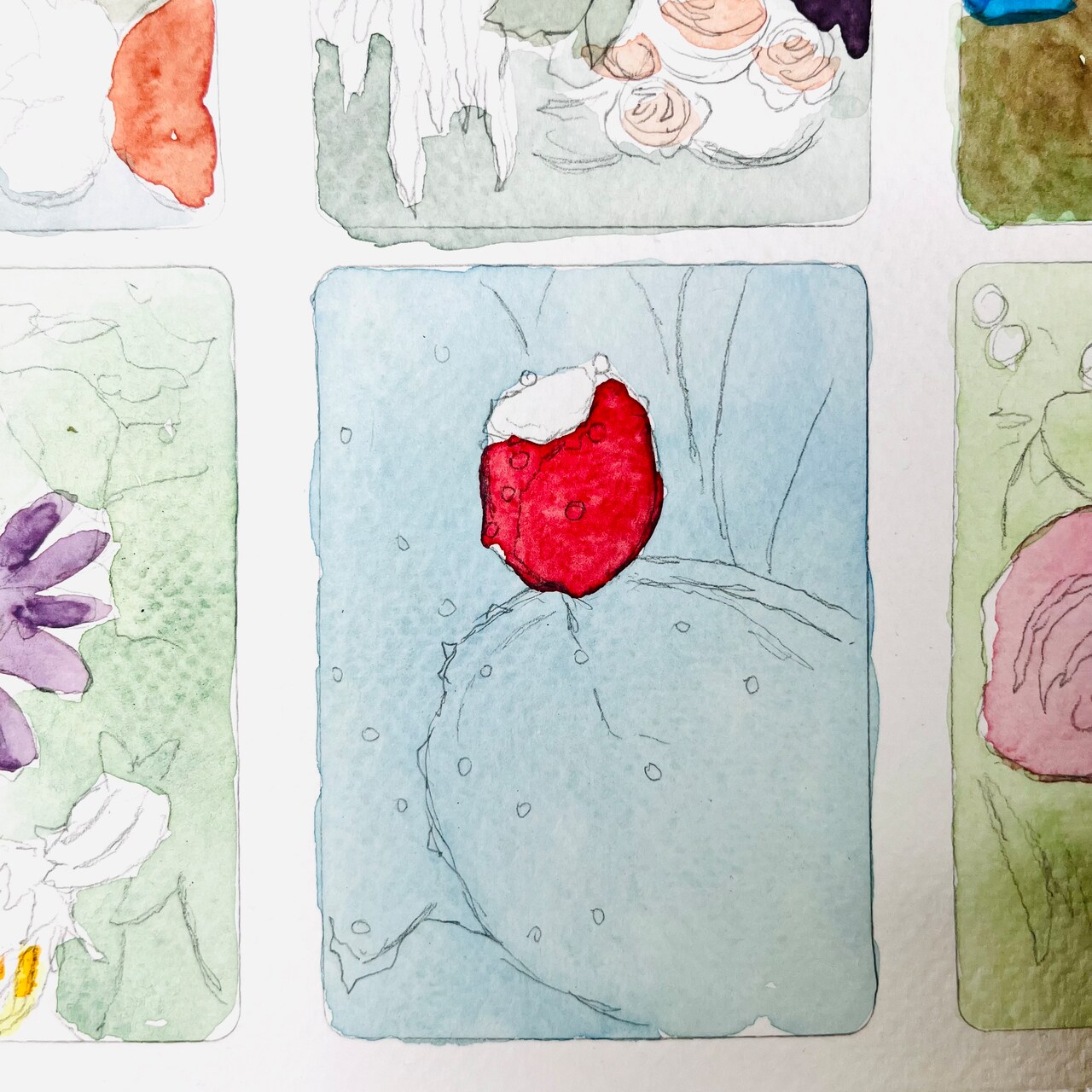 30 Watercolor Flower Studies for Painting Practice, Part II