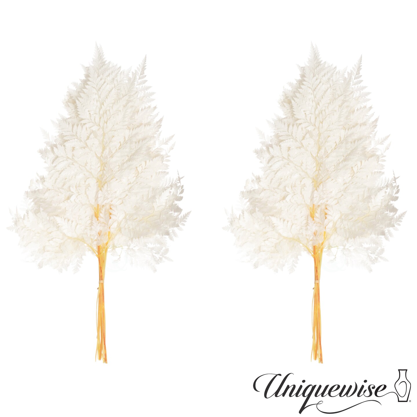 Uniquewise Preserved Real Floral Stems Chic Vase Fillers & Accents for Bouquets Centerpieces & Ornamental Displays Ideal for Home Office Boutique Cafe Resto Bar and Event Decor