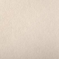 Colorplan by Legion Papers 11" x 17" - 130 Lb. / 18.5 pts Matte Premium Cardstock Paper Cover Sheet - 50 Sheets