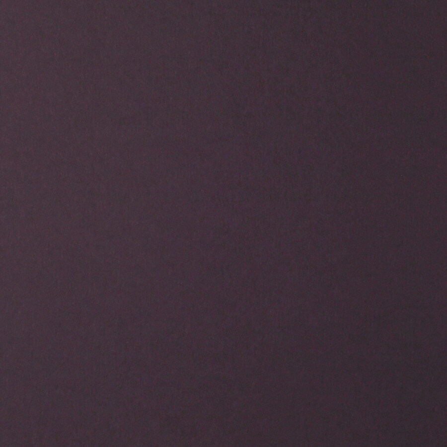 Colorplan by Legion Papers 11" x 17" - 130 Lb. / 18.5 pts Matte Premium Cardstock Paper Cover Sheet - 50 Sheets