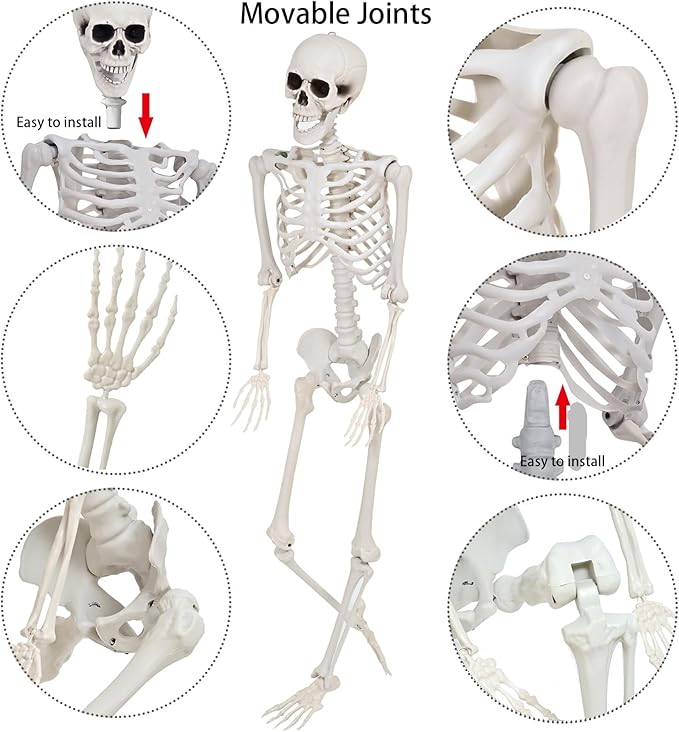 2 Pack Halloween Skeleton Life Size 5.4ft - Poseable Large Plastic Skeletons, Human Like Realistic Full Body Bones with Posable Joints for Halloween Indoor/Outdoor Decorations