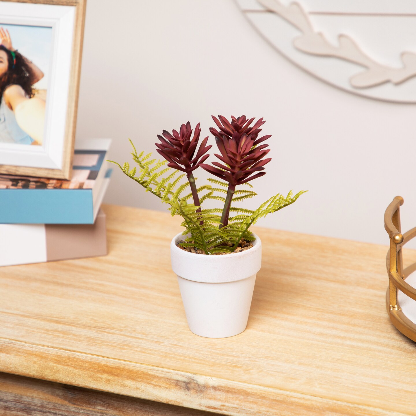 Northlight Succulent Fern in Ceramic Pot - 8&#x22;