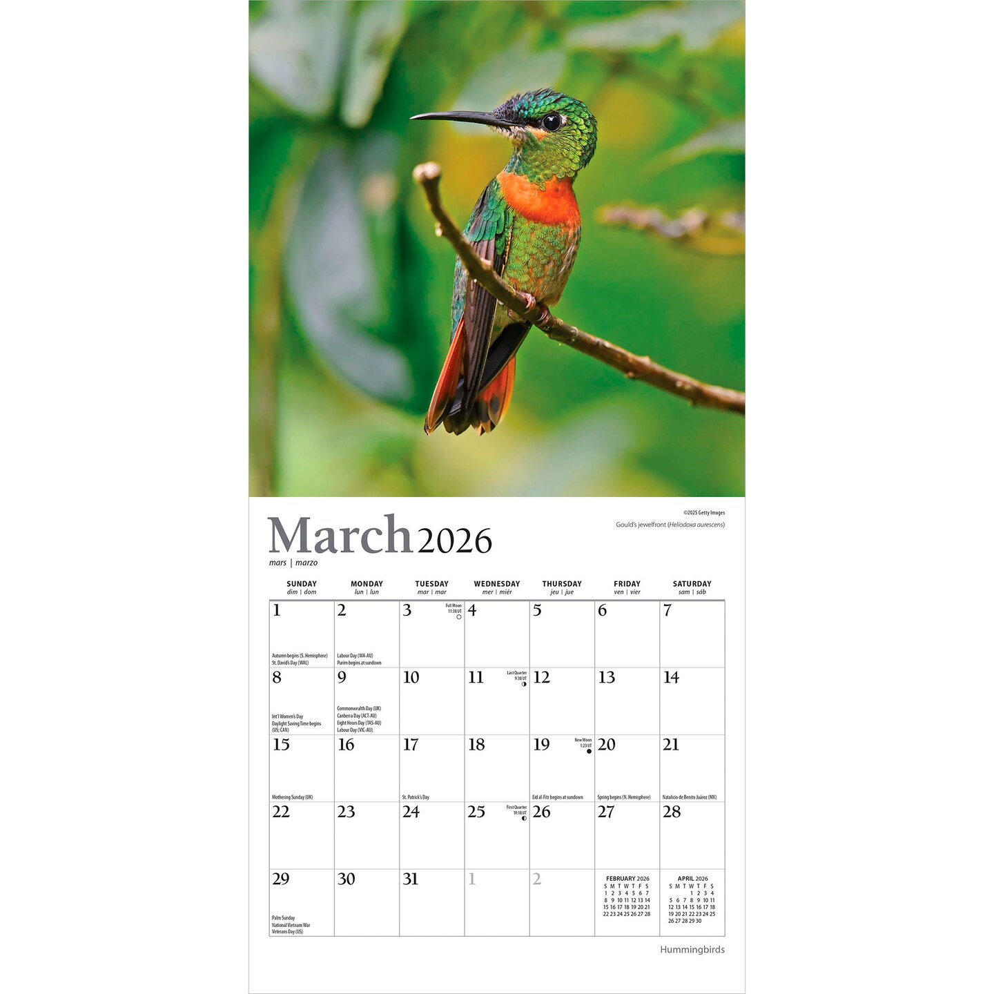 Hummingbirds | 2026 7 x 14 Inch (Hanging) Monthly Mini Wall Calendar | Foil Stamped Cover