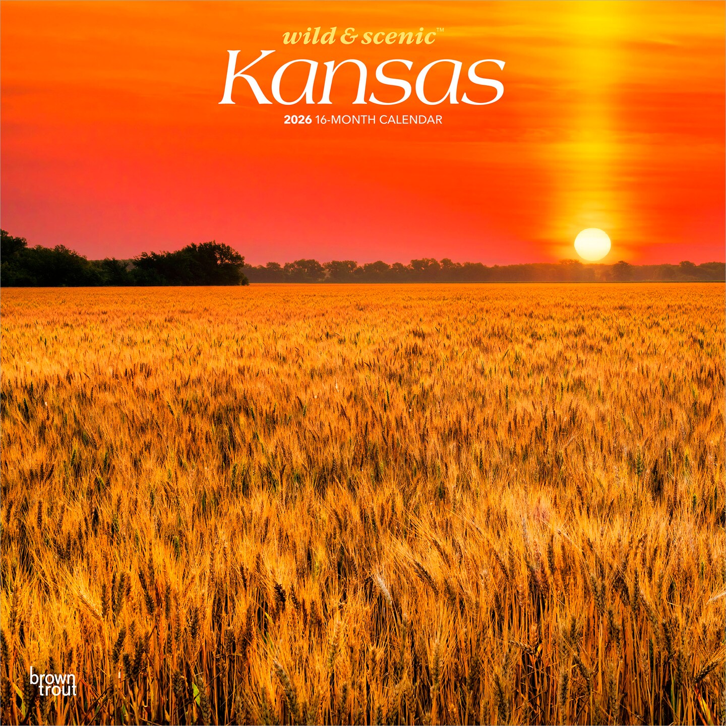 Kansas Wild & Scenic | 2026 12 x 24 Inch (Hanging) Monthly Square Wall Calendar | Plastic-Free