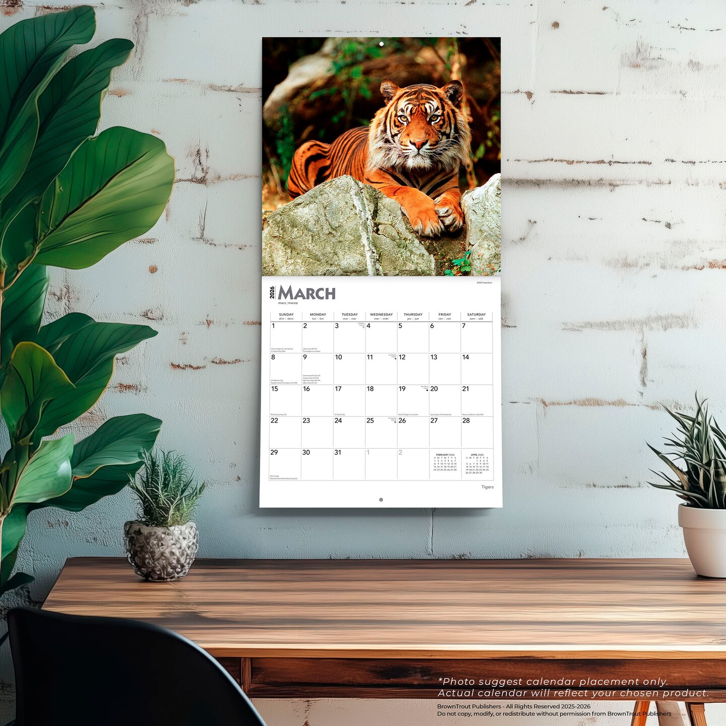Tigers | 2026 12 x 24 Inch (Hanging) Monthly Square Wall Calendar | Plastic-Free