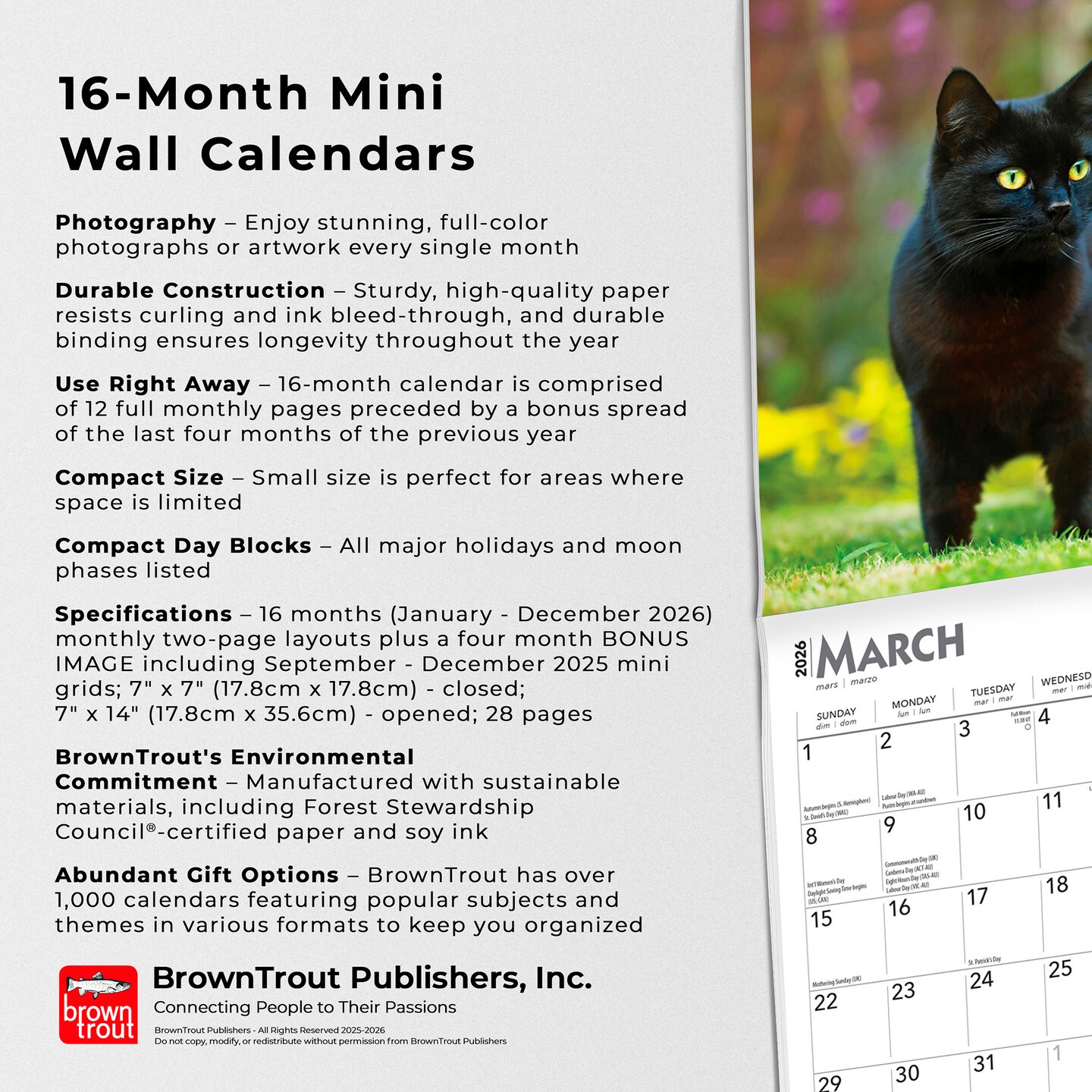 Black Cats | 2026 7 x 14 Inch (Hanging) Monthly Mini Wall Calendar