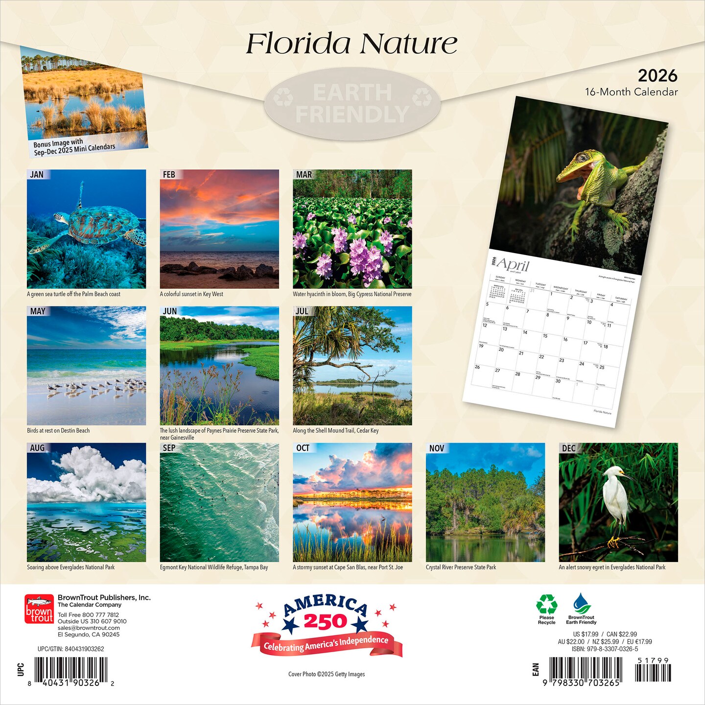 Florida Nature | 2026 12 x 24 Inch (Hanging) Monthly Square Wall Calendar | Plastic-Free